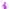 nexus-private-link